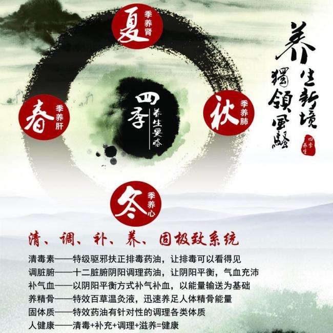 办理假马里兰州新驾照